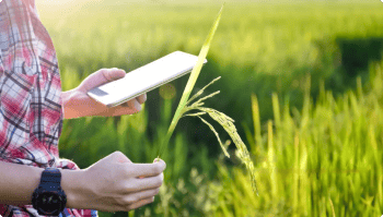 fieldexpress